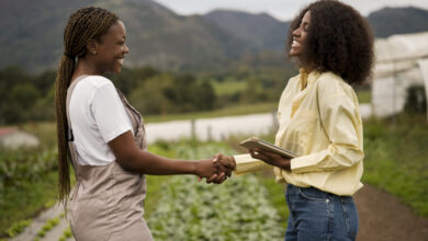 AgriSETA 2026 Internship Programme