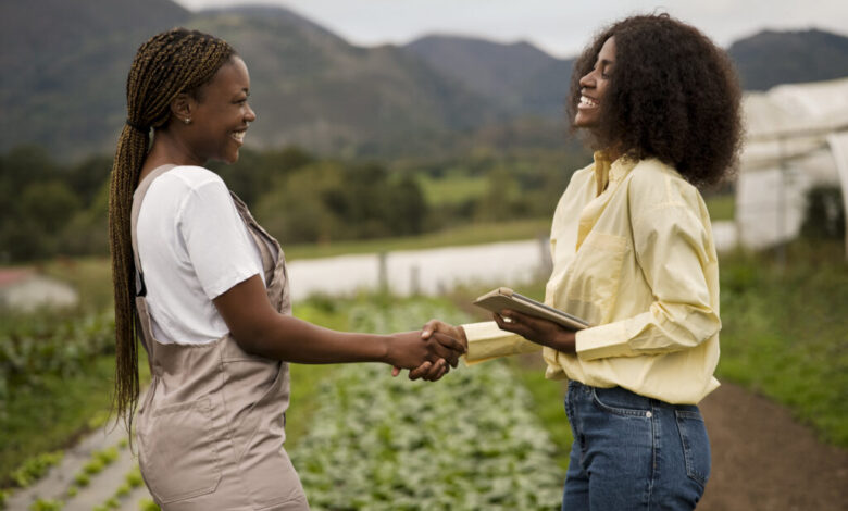 AgriSETA 2026 Internship Programme